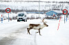 jobbintervju tips negative sider finnmark jobbintervju tips negative sider finnmark
